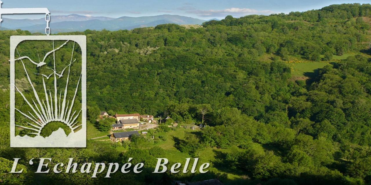 Bed and Breakfast L'Echappee Belle Lacourt Zewnętrze zdjęcie