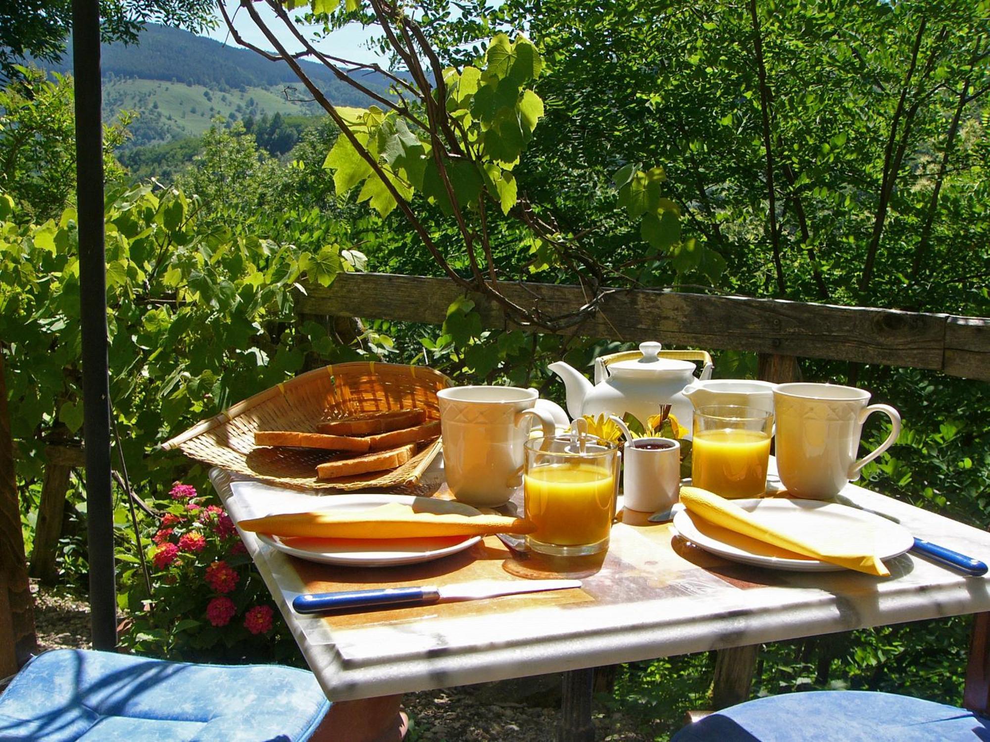Bed and Breakfast L'Echappee Belle Lacourt Zewnętrze zdjęcie